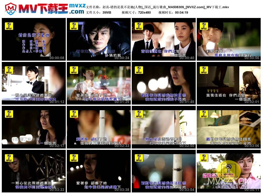 赵真-错的是我不是她(人物)_国语_流行歌曲_MA508309